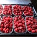 Малина Полка (Polka)