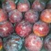 Слива Фрідом (пізній)