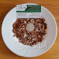 ЯЛИЦЯ ГРЕЦЬКА НАСІННЯ ЯЛИЦЯ ГРЕЦЬКА НАСІННЯ